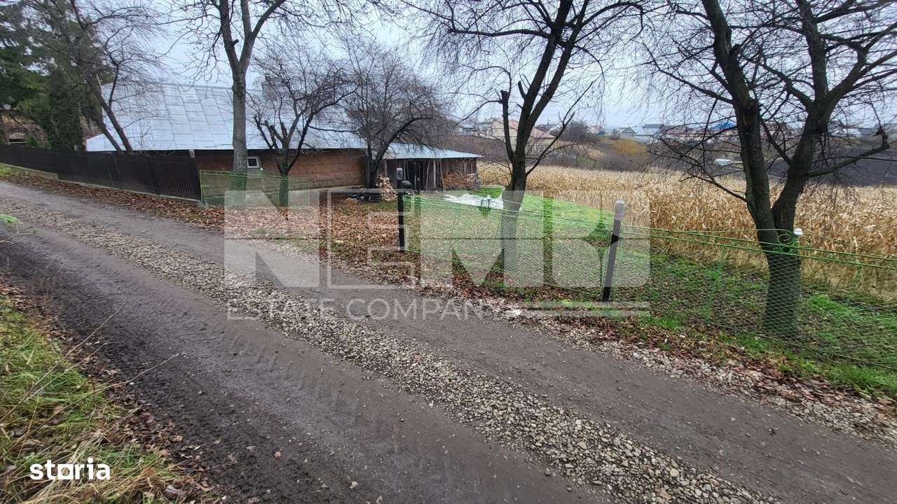 TEREN MOARA I SUCEAVA I LOC DE CASA I 20Ari I 60,000Euro - Imagine principală: 4/5