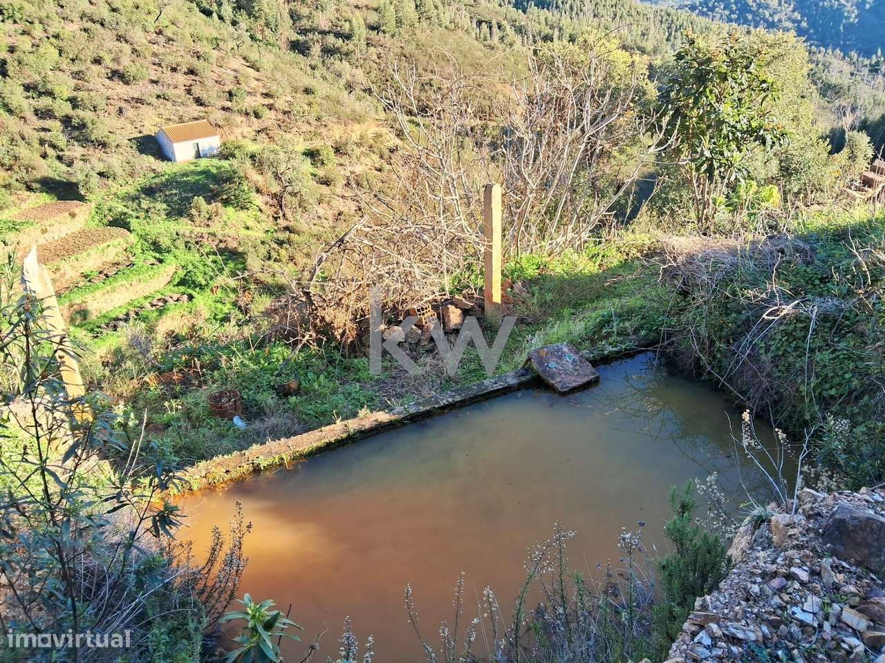 Terreno No Poio Da Quebrada Em Monchique - Grande imagem: 3/14