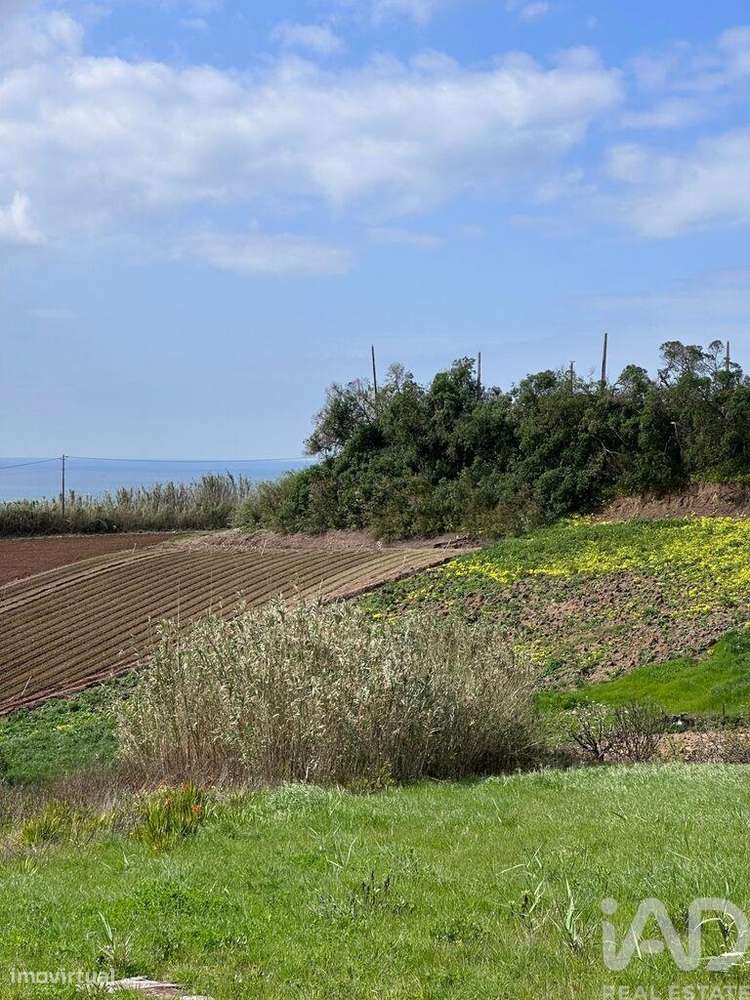 Terreno em Lourinhã e Atalaia de 3960,00 m2 - Grande imagem: 3/29