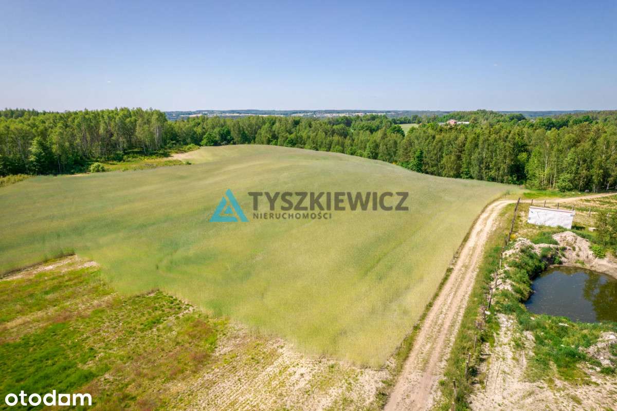 Piękna działka przy lesie Brodnica Górna - Pełny obrazek: 4/13