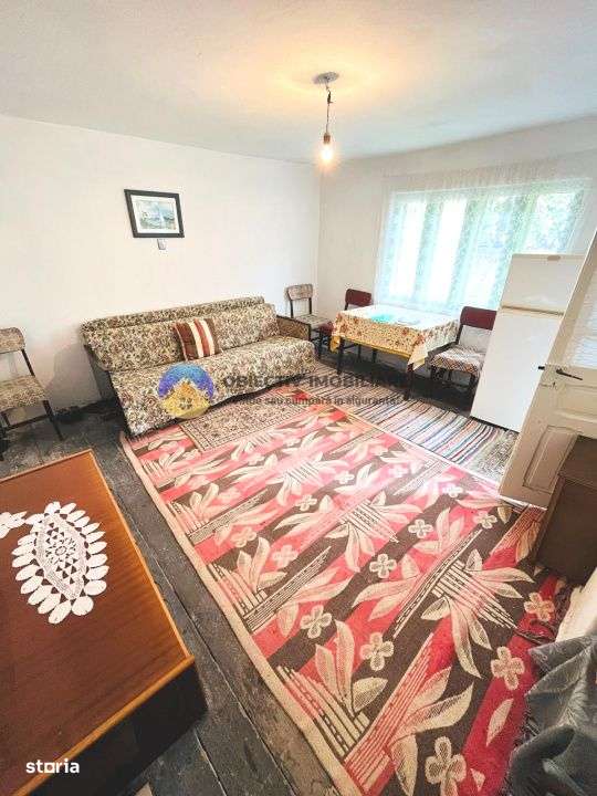 CASĂ + Teren 4616 mp RĂUCEȘTI, langa TARGU NEAMȚ - Imagine principală: 4/10