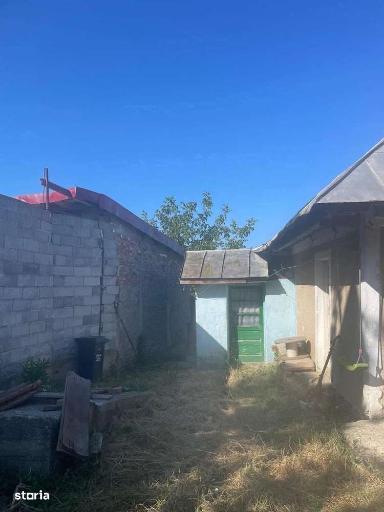 Casa batraneasca si teren 757 mp Calea Moinesti-Margineni-10