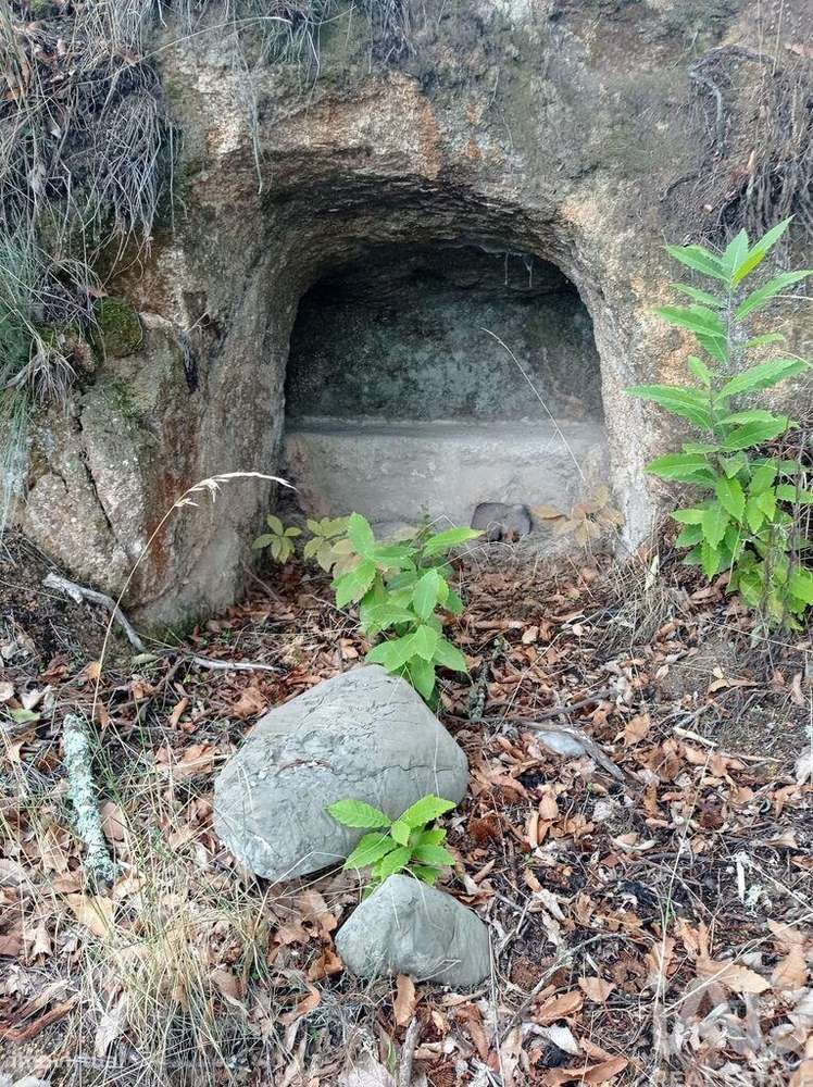 Terreno Agrícola em Sendim-5