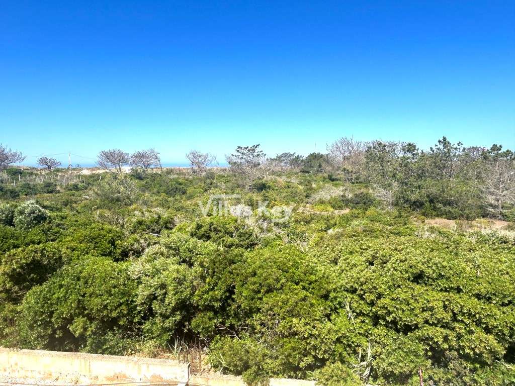 Vivendas em Sagres junto ao mar - Grande imagem: 4/17