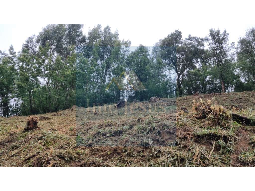 Terreno em Perosinho para Moradia-3