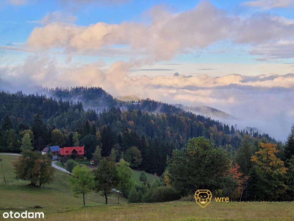 Inwestycyjnie - Dom pod lasem/Agroturystyka-13