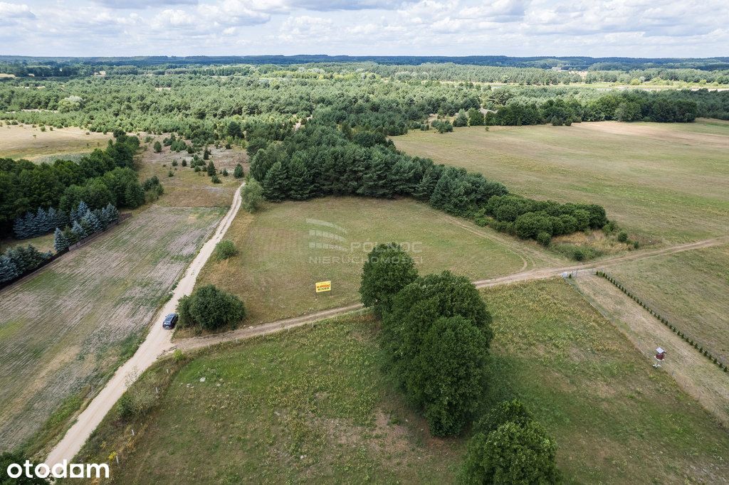 Działka na skraju lasu w Dolinie Rzeki Narew!!