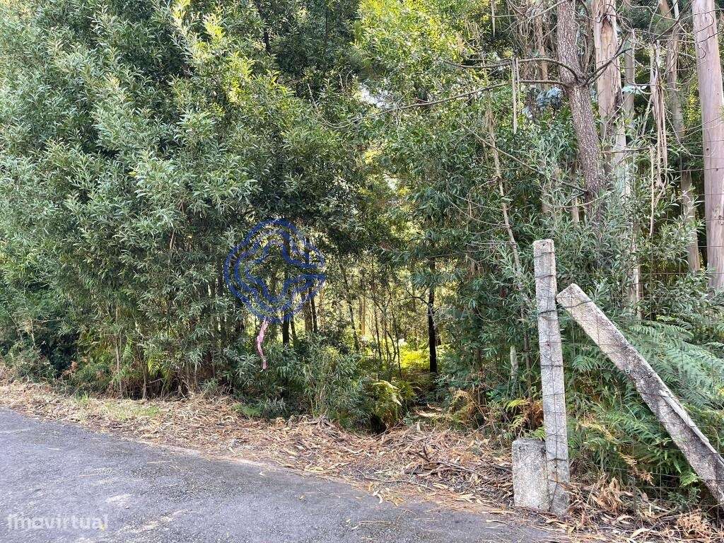 Terreno Pinhal para Venda - Grande imagem: 4/11