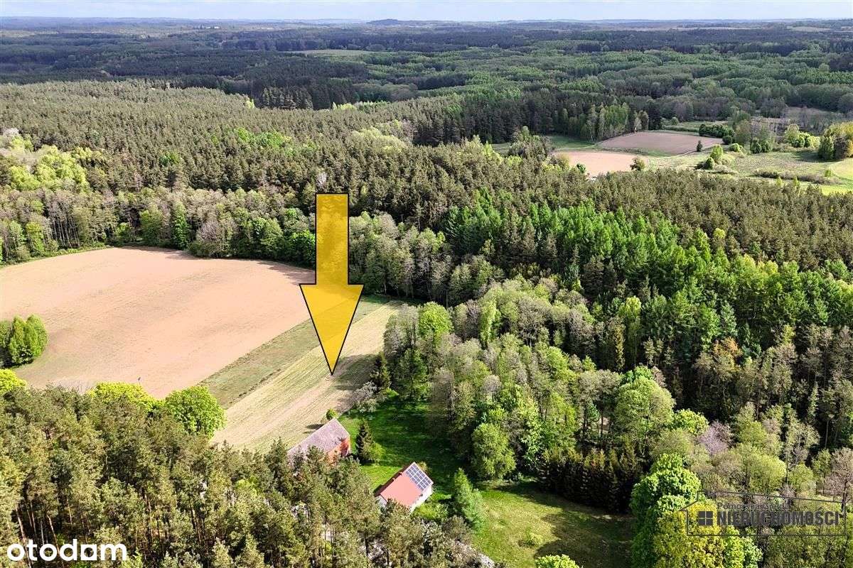 Działka budowlana przy zakolu rzeki Parsęta. - Pełny obrazek: 5/20