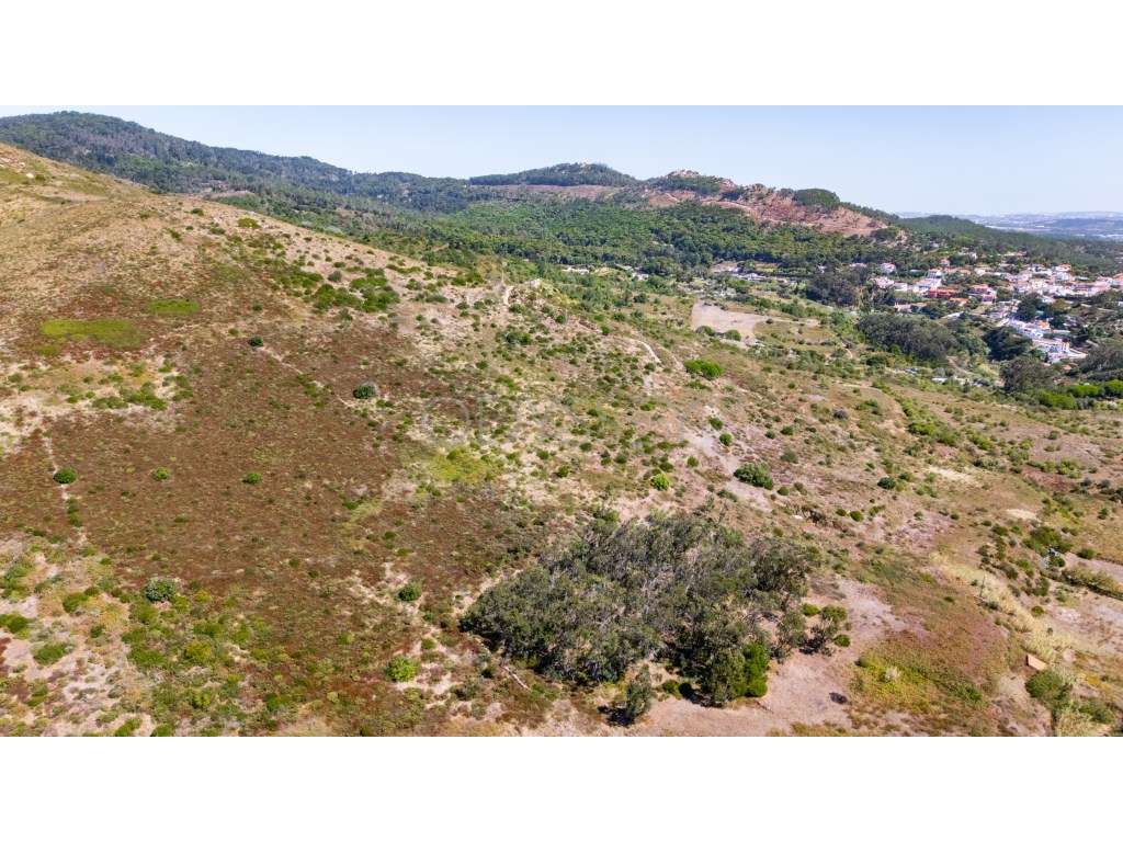 Terreno Rústico à Venda - Fontainhas, Alcabideche (Cascais)-18
