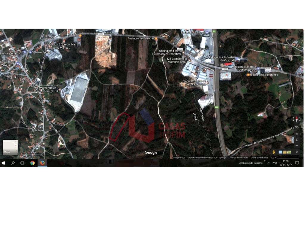 Terreno Florestal com eucaliptos novos, com 5800M2 - Grande imagem: 2/2