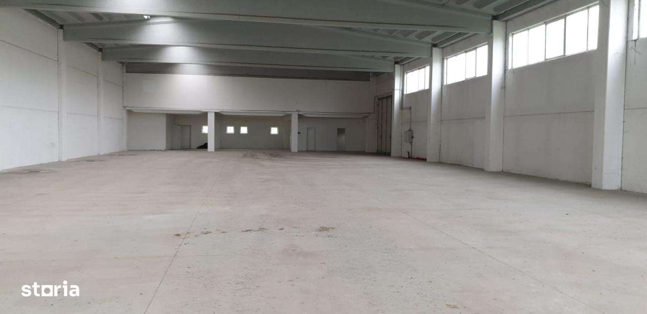 Hala de inchiriat - Imagine principală: 2/8