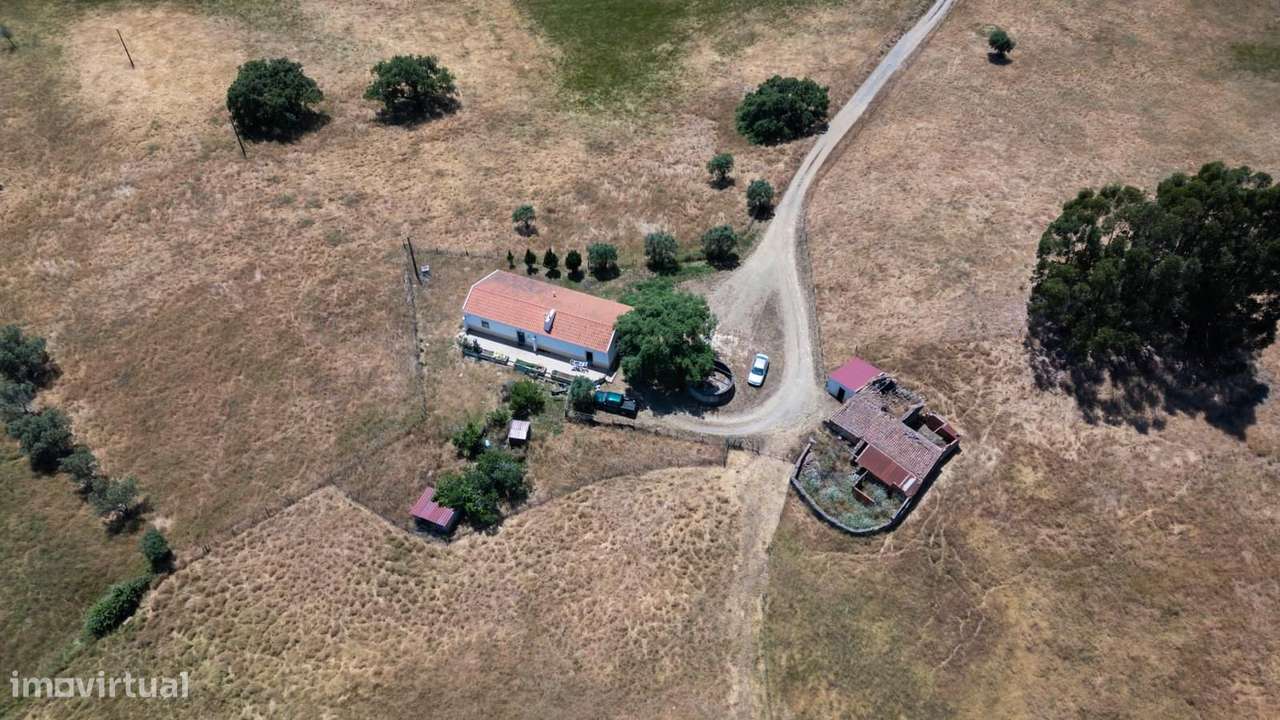 Quinta 18.0 ha, São Francisco da Serra, Santiago do Cacem - Grande imagem: 4/22