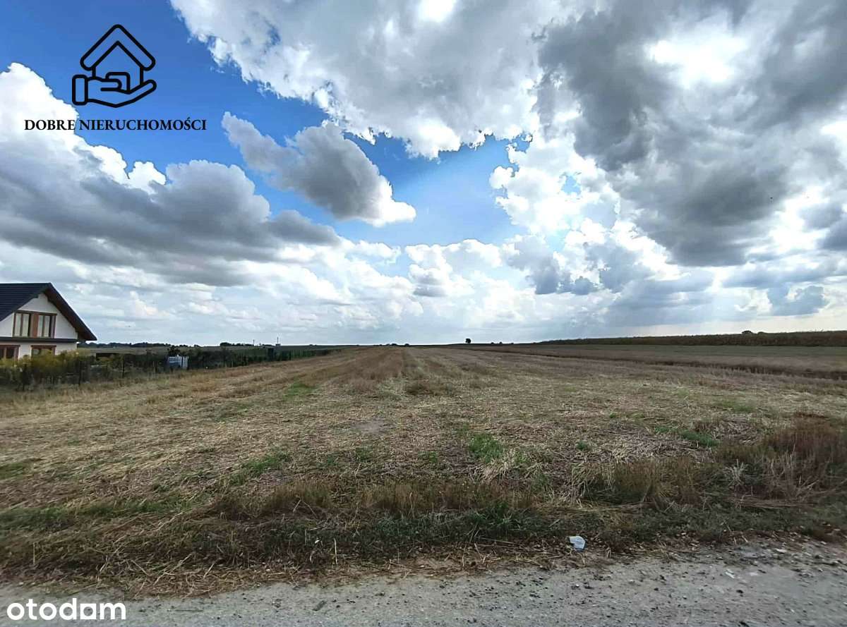 10 arów - spokojna okolica w sąsiedztwie lasu. - Pełny obrazek: 2/5