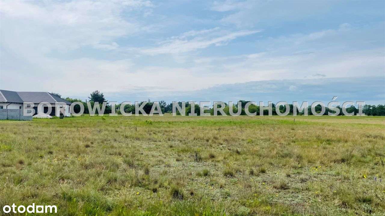 Działka 1211 Kobylarnia/Nowe Smolno - 100 zł/m² - Pełny obrazek: 5/5