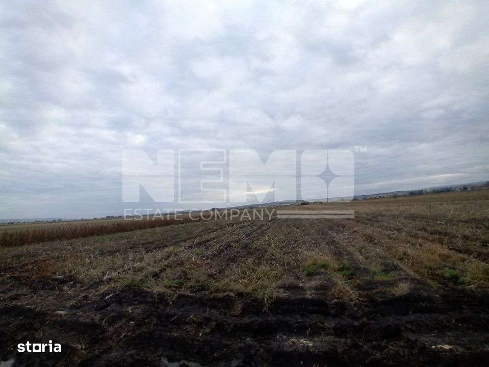 TEREN | Radauti | 6.000 mp | 62.800 EURO - Imagine principală: 5/5