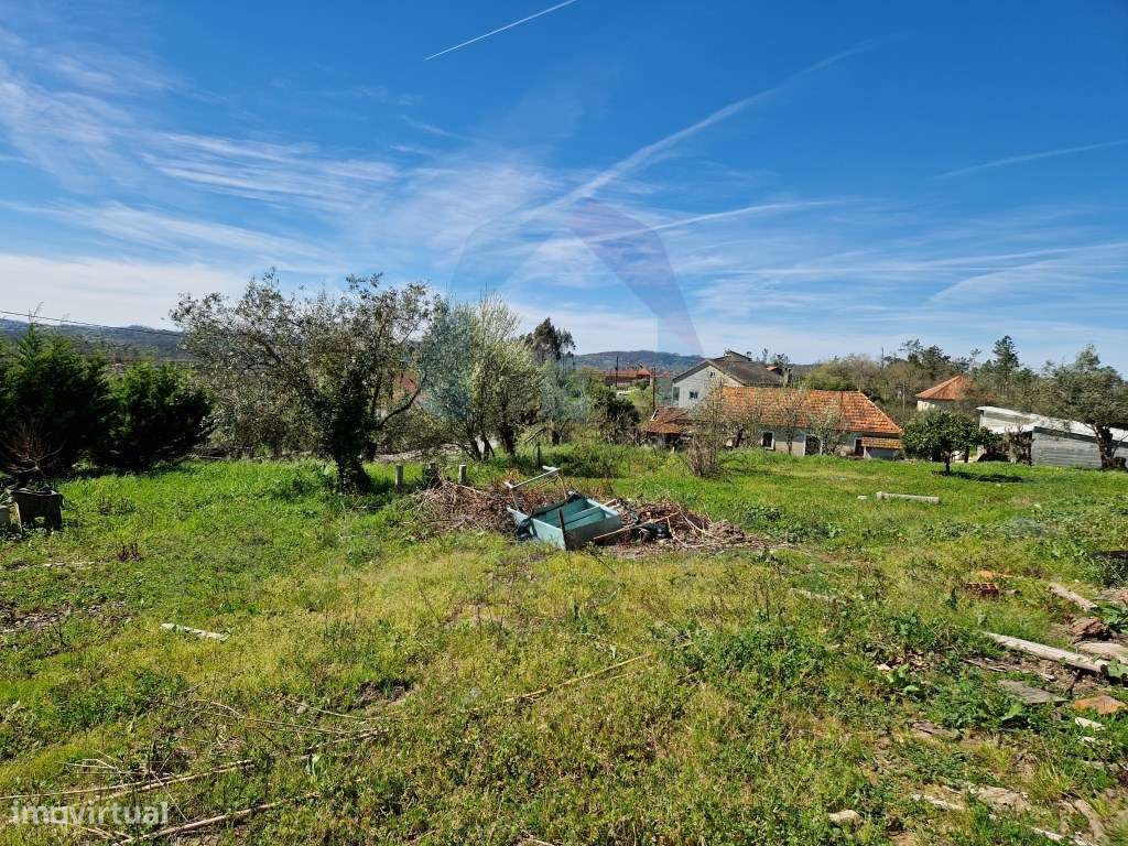 Terreno com Viabilidade de Construção - Pombal - Grande imagem: 3/5