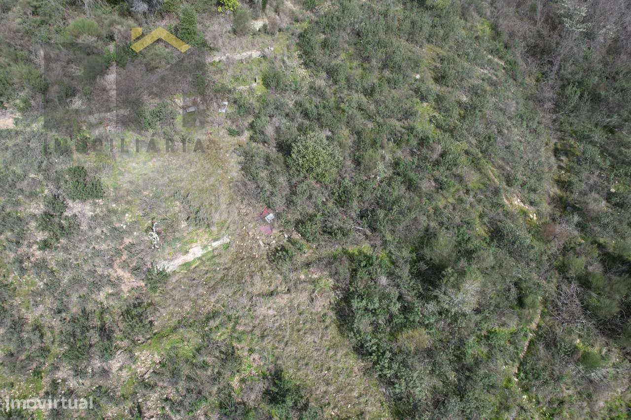 Terreno Rústico  Venda em Salgueiro do Campo,Castelo Branco - Grande imagem: 5/7