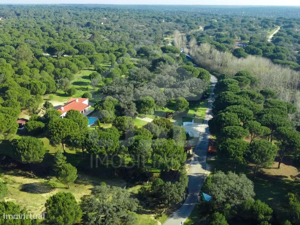 Terreno na Mata do Duque II, Santo Estêvão - Grande imagem: 3/6