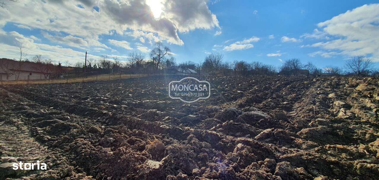 Teren intravilan in Manastirea Doamnei, S- 1300 mp - Imagine principală: 3/6
