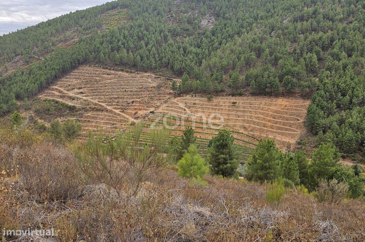 Terreno agrícola com 26.330 m² - Grande imagem: 5/7