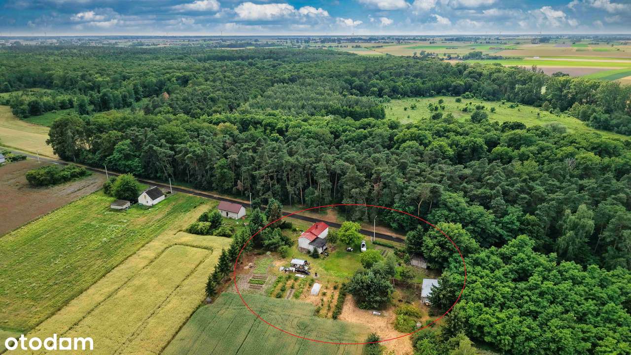 Dom, 68,68 m², Ościsłowo-8