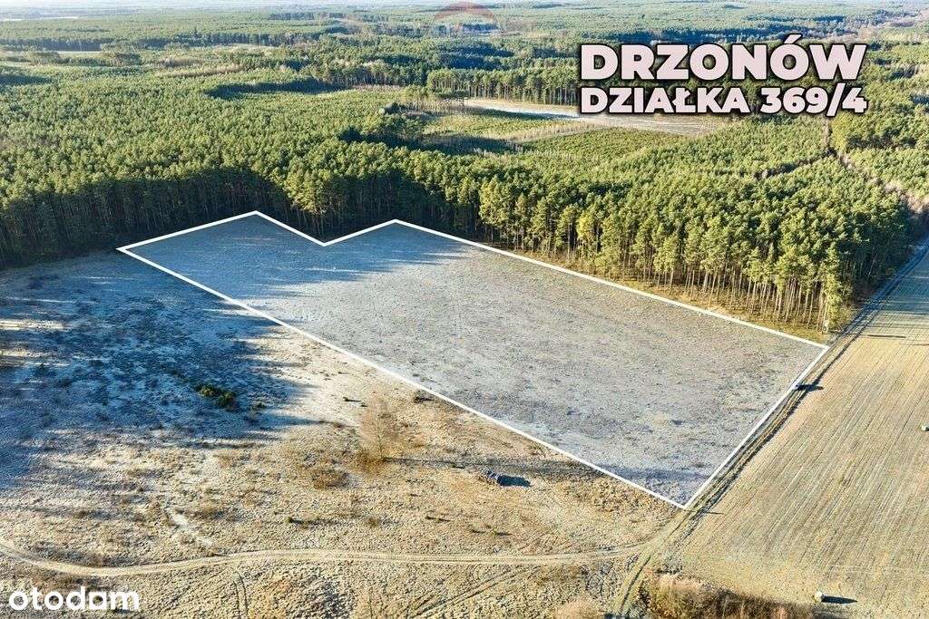 Na sprzedaż działka inwestycyjna 30 zł/ m² - Pełny obrazek: 4/17