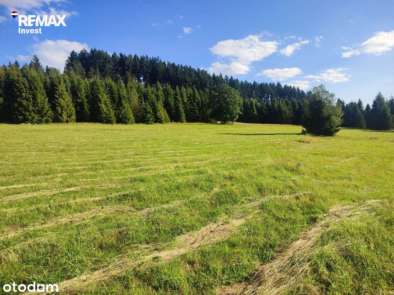 Tontti, 3791 m²