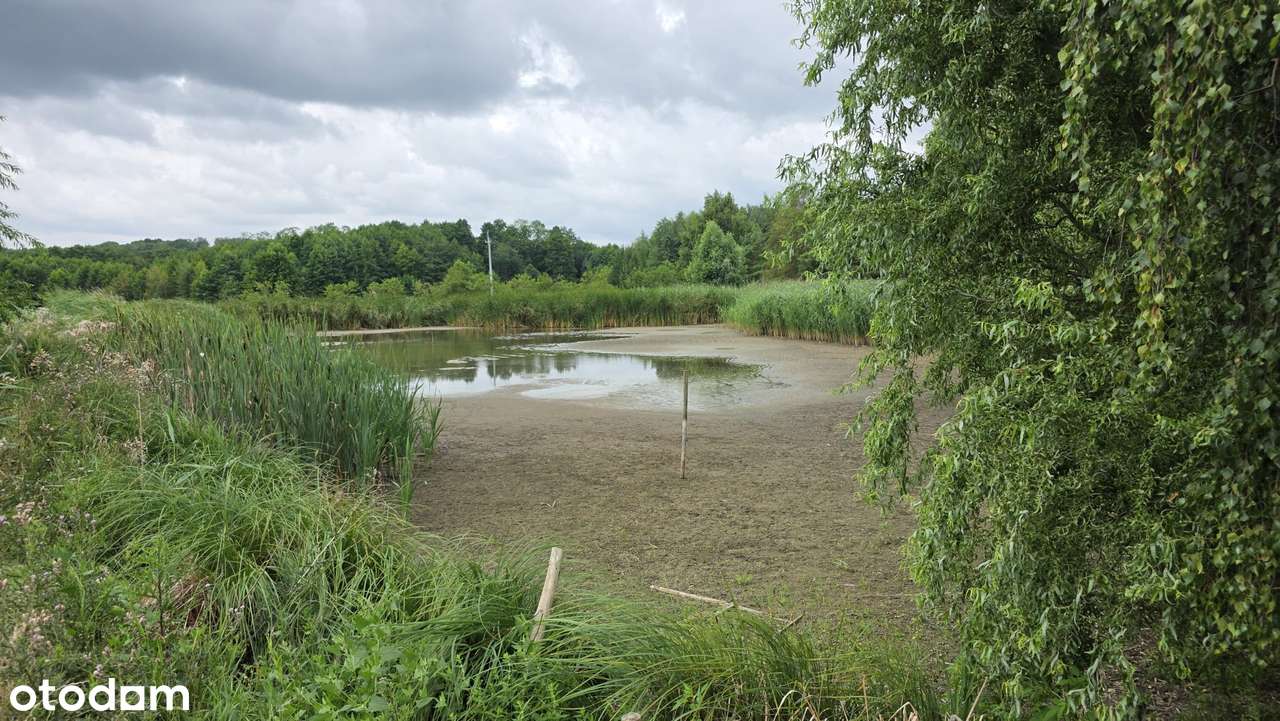 Wyjątkowa działka rekreacyjna  z prywatnym stawem - Pełny obrazek: 4/11