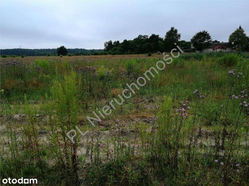 Duża działka przy asfalcie. - Pełny obrazek: 5/5
