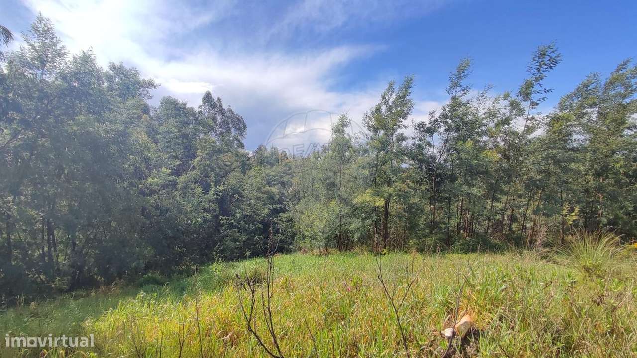 Terreno  para venda - Grande imagem: 3/8