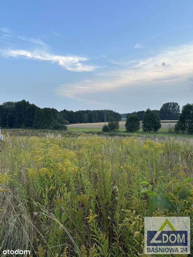 Działki  w Dolinie Ciemięgi  143 zł/m2 - Pełny obrazek: 5/6