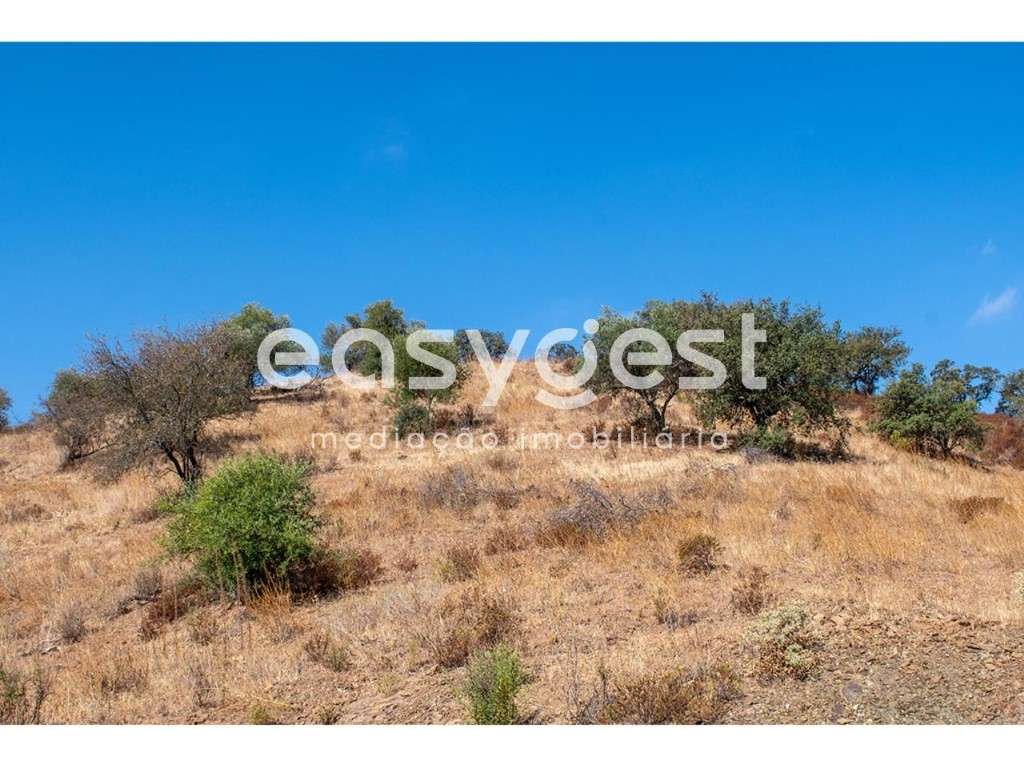 Terreno Rústico com 1.32 ha com vista para o Rio Guadiana - Grande imagem: 4/19