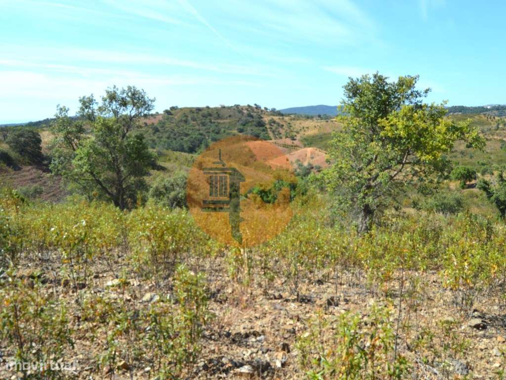Terreno Rústico Porto Carvalhoso - Grande imagem: 5/24