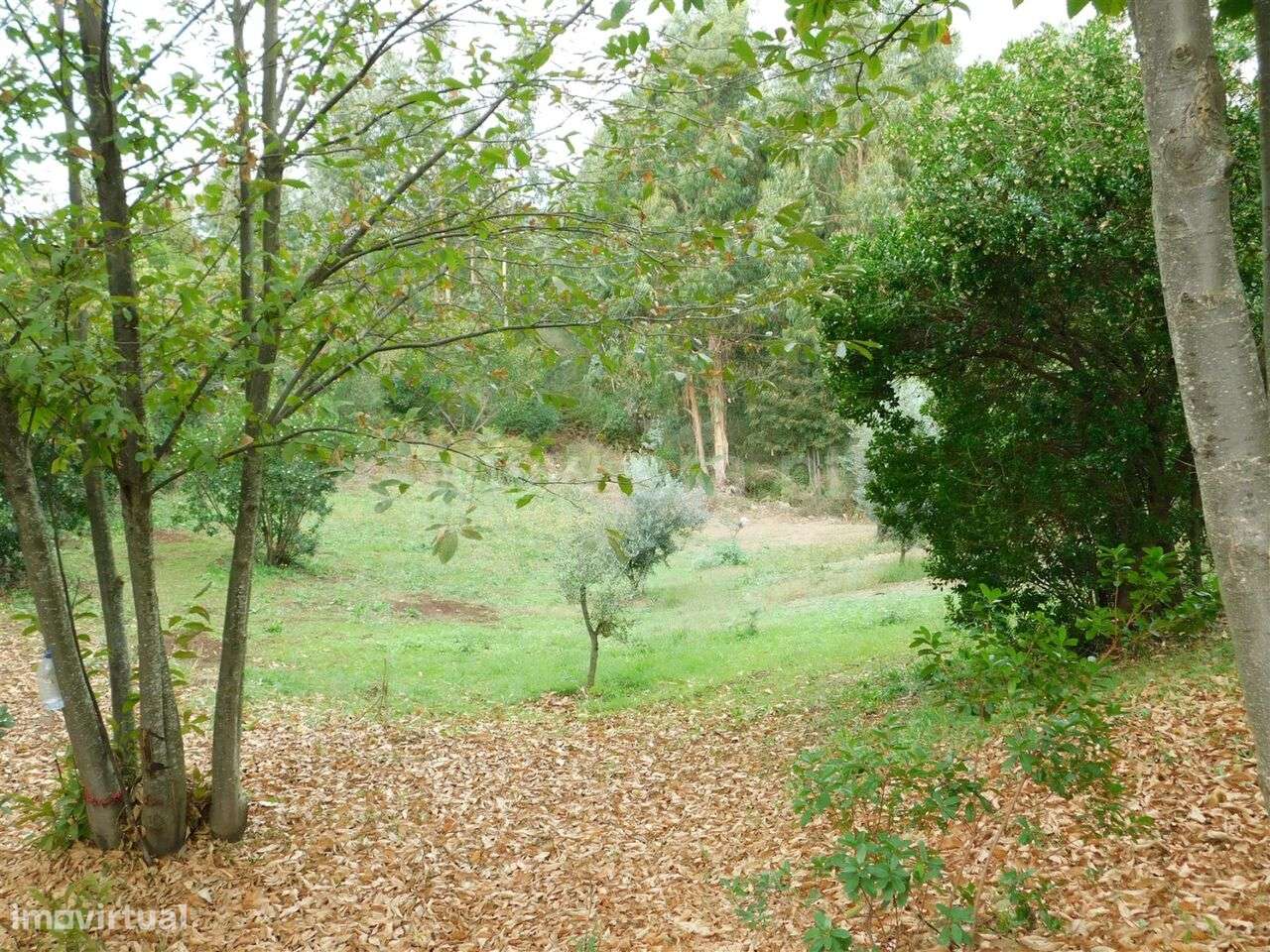 Terreno / Seia, Vila Cova à Coelheira - Grande imagem: 4/6