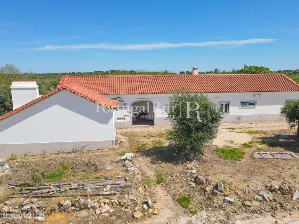 Herdade com 38 hectares com Olival em Produção com 2 Moradias - Grande imagem: 5/17