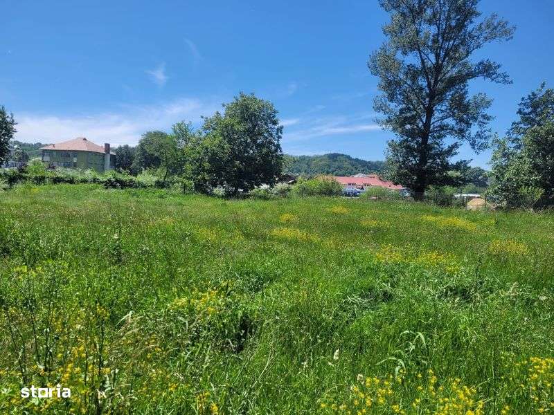 Teren central Domnesti-Arges langa targul saptamanal - Imagine principală: 4/7