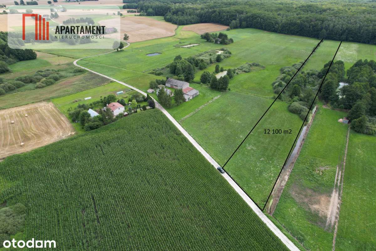 Tylko U Nas! Działka z możliwością zabudowy! - Pełny obrazek: 4/14