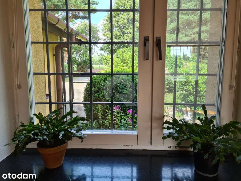 Grzmiąca gmina Żabia Wola dom  na działce  13800m2-13