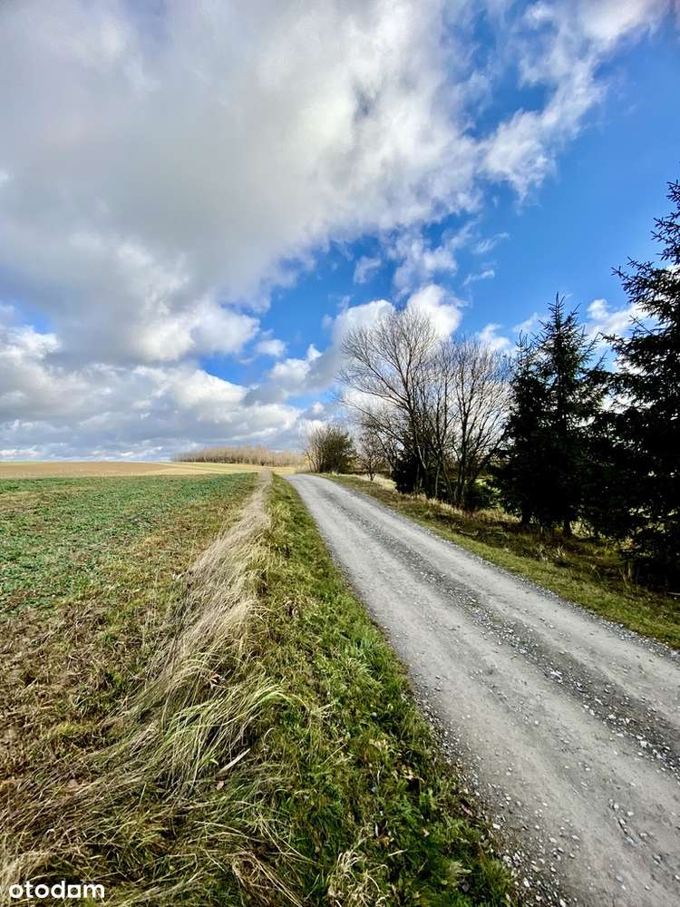 Widokowa działka w Mogielnicy - Pełny obrazek: 5/19