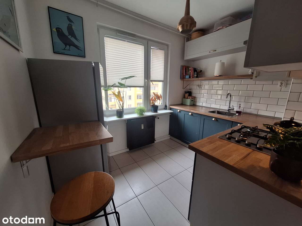 kawalerka 33m2 ul. Strzelców - Pełny obrazek: 4/17