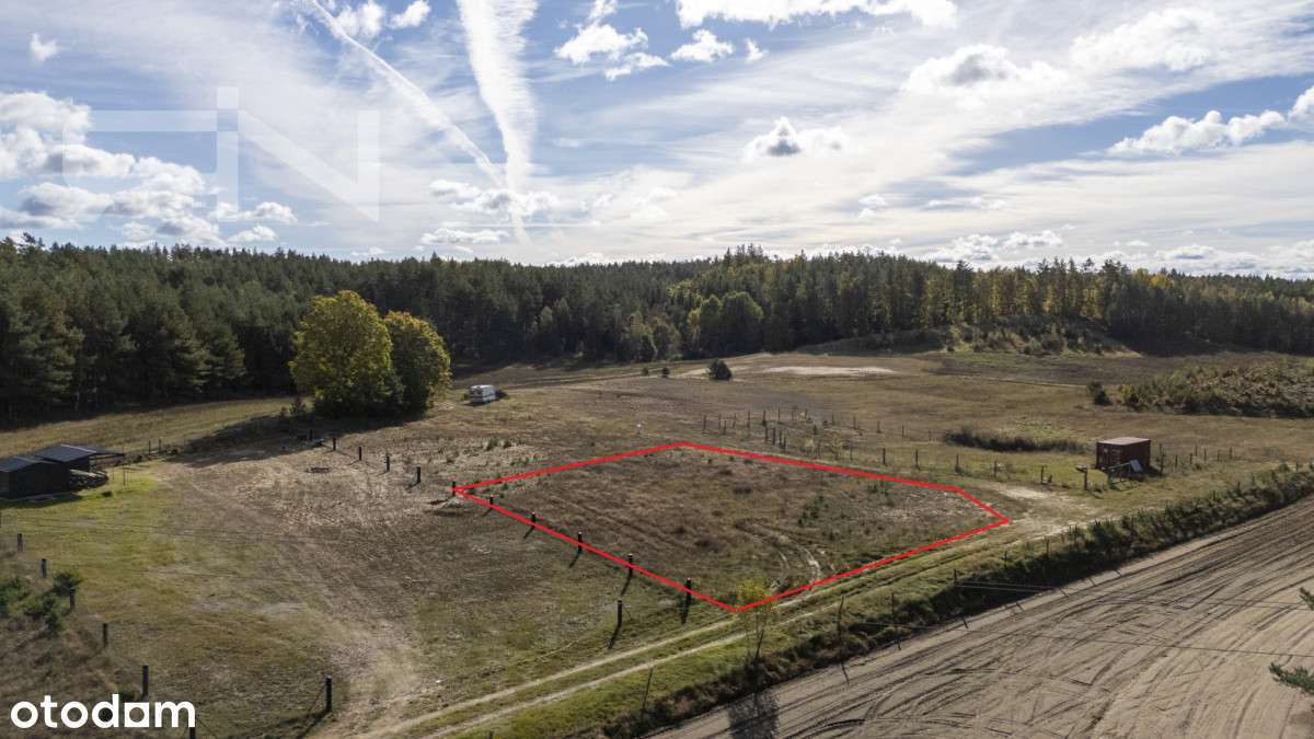 Działka z domem na Kaszubach | 1162 m²-6