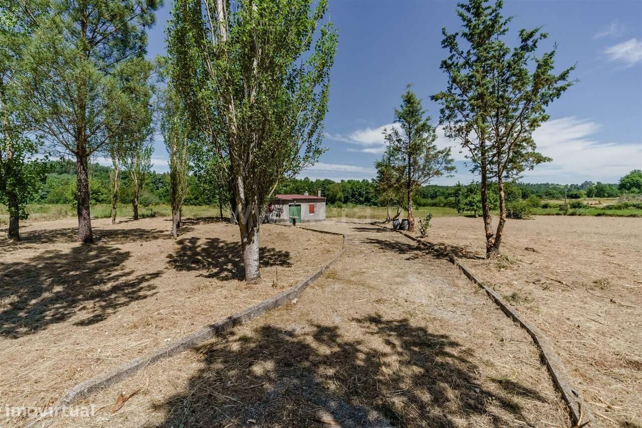 Quintinha / Seia, Seia, São Romão e Lapa dos Dinheiros-3