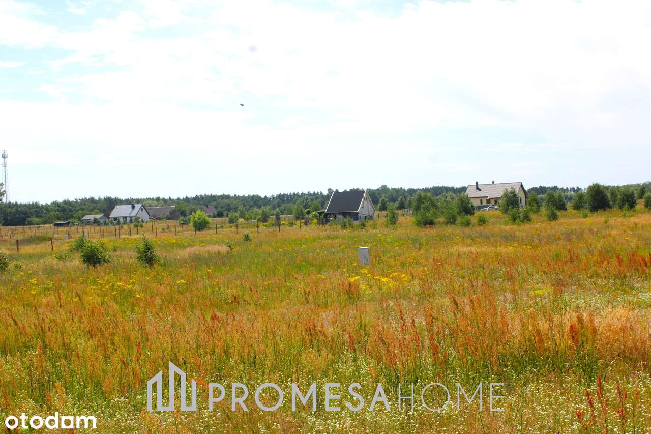 Nienawiszcz 1002m2 las jezioro SUPER CENA !!!! - Pełny obrazek: 4/4