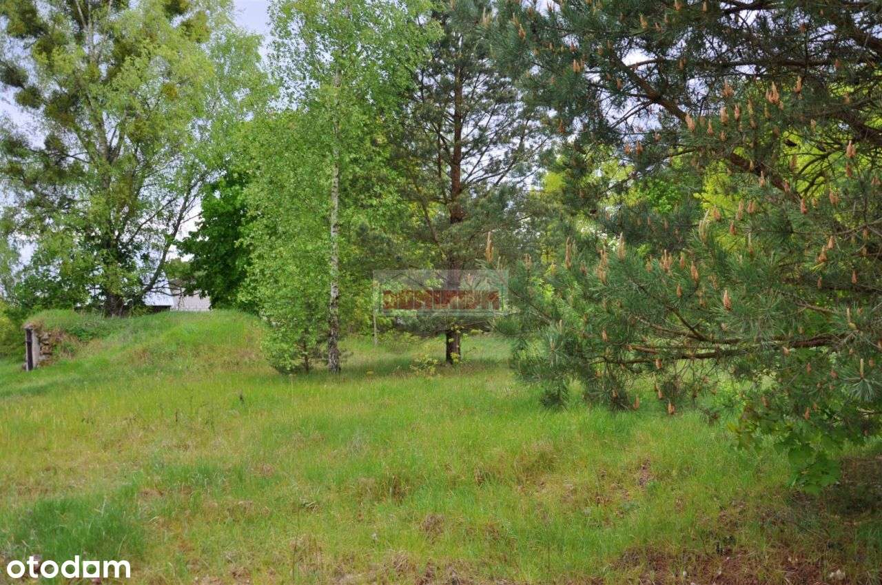 Siedlisko niedaleko jeziora Sajno. - Pełny obrazek: 5/15