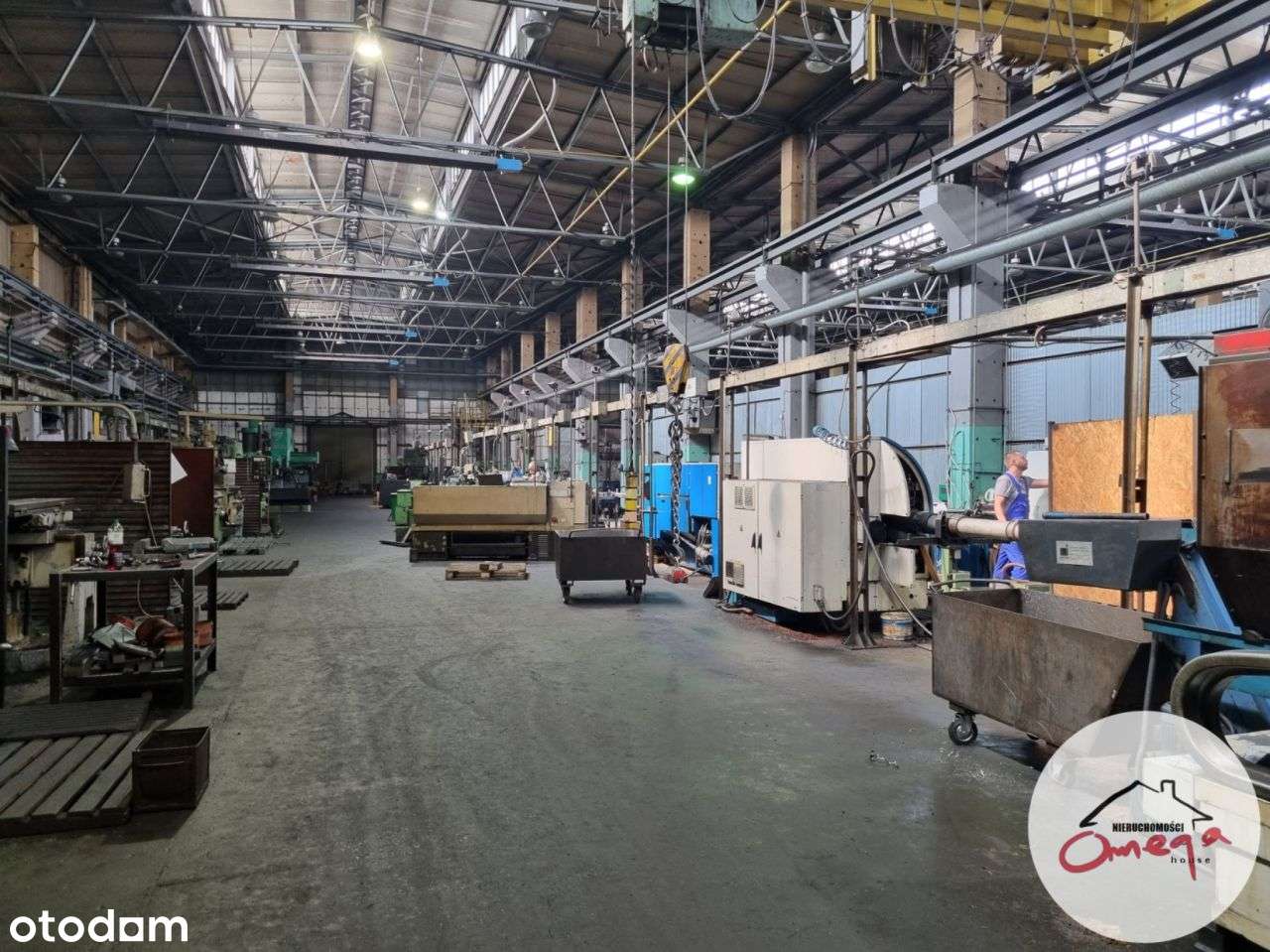 Hala produkcyjna - Pełny obrazek: 4/16