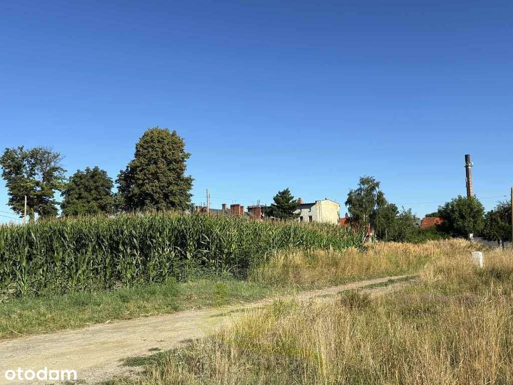 Bielawa – działka pod dom i działalność usługową - Pełny obrazek: 5/6