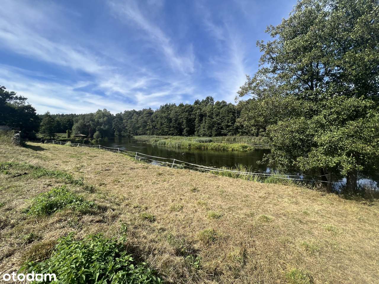 Wyjątkowa działka - Bory Tucholskie z  linią brzegową - Pełny obrazek: 4/11