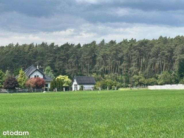 działka blisko natury - Pełny obrazek: 4/14