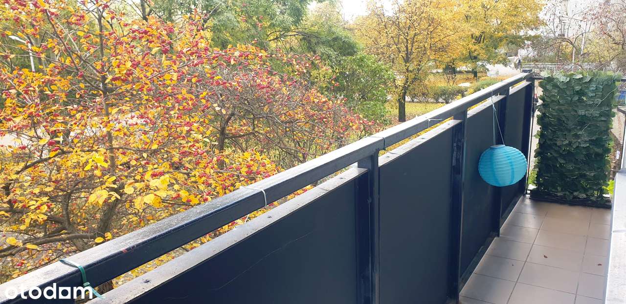 Fajna lokalizacja i widok z okien na zieleń.Tramwaj/bazarek/sklep 2min - Pełny obrazek: 4/17